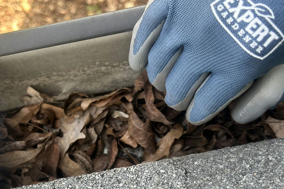 Gutter Cleaning St. Petersburg FL