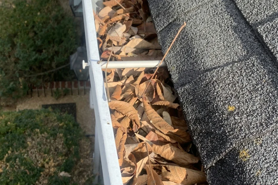 Gutter Cleaning St. Petersburg FL