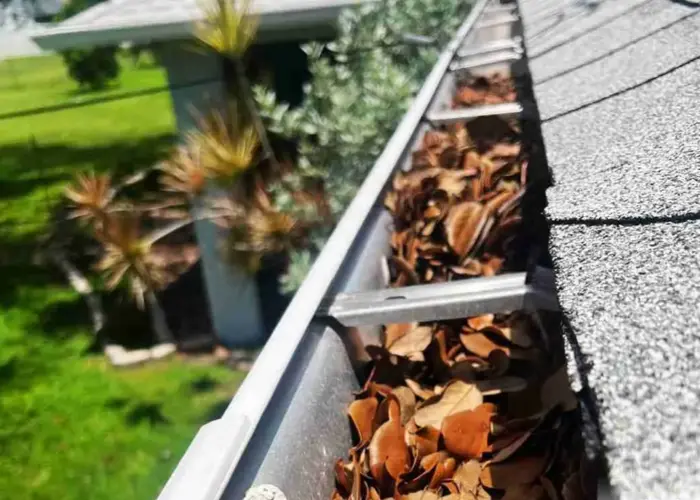 Gutter Cleaning St. Petersburg FL home page